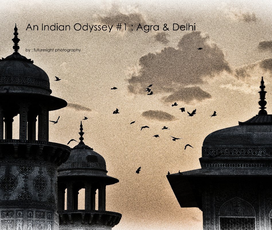 View An Indian Odyssey #1 : Agra & Delhi ( Original ) by : futuresight photography