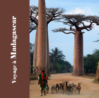Voyage à Madagascar book cover