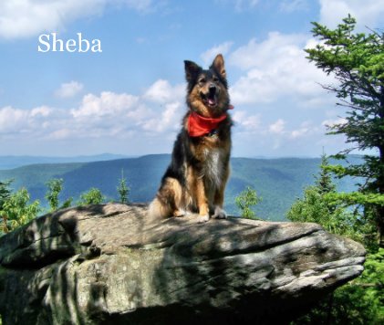 Sheba book cover