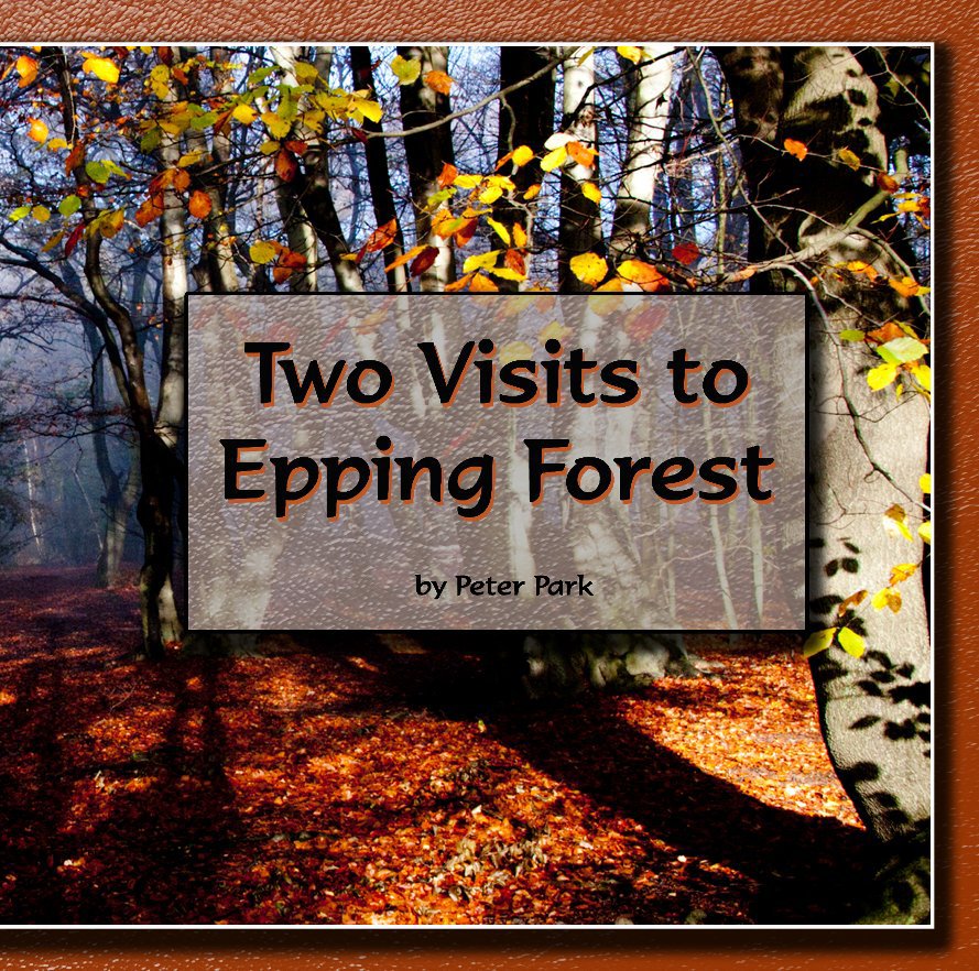 View Two Visits to Epping Forest by Peter Park