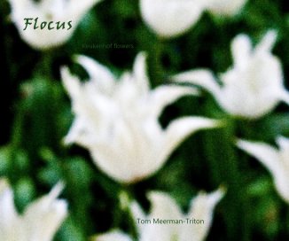 Flocus book cover