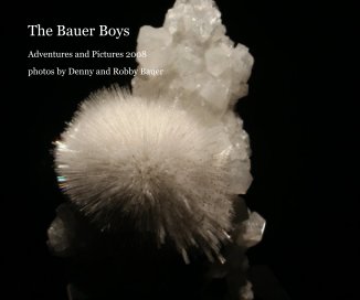 The Bauer Boys book cover