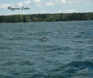 Higgins Lake book cover