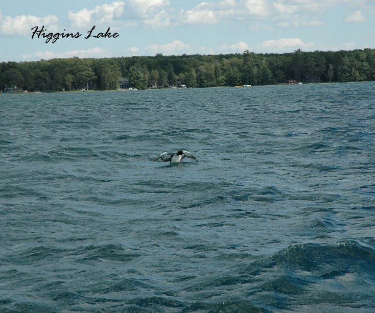 View Higgins Lake by Julie L. Burgess