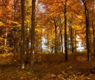 Die drei Jahreszeiten book cover