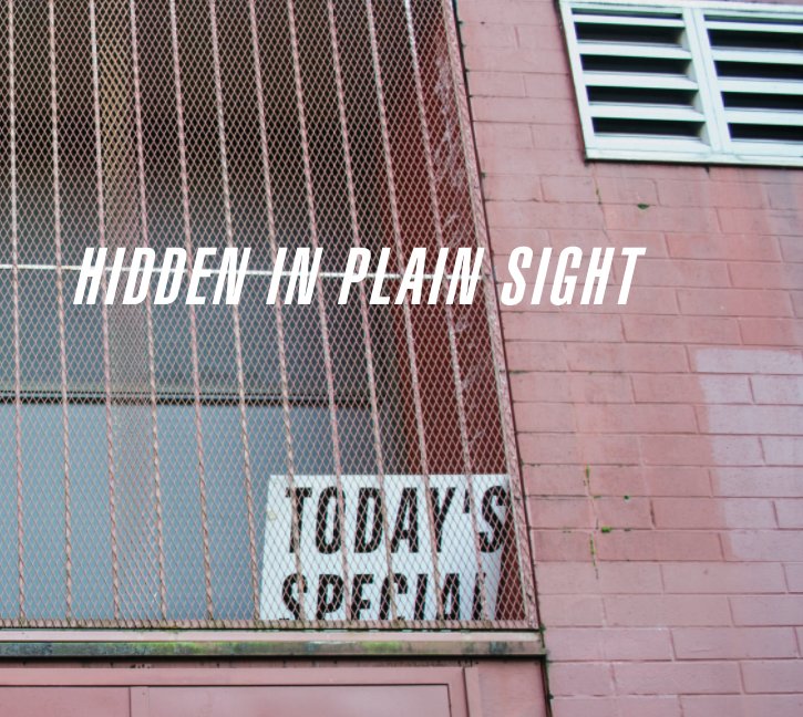 View Hidden in Plain Sight by Sarah Smith