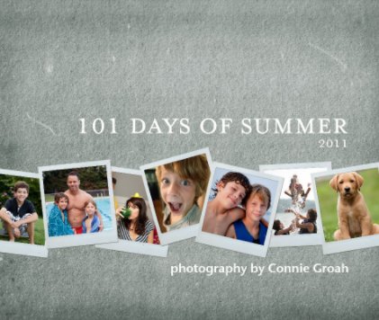 101 Days of Summer 2011 book cover