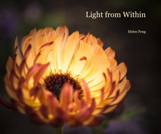 Light from Within book cover