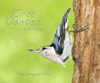 Tree Dancers book cover