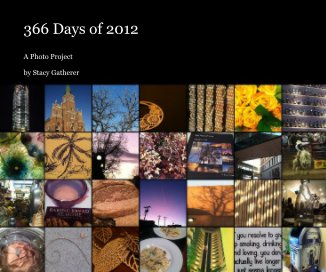 366 Days of 2012 book cover