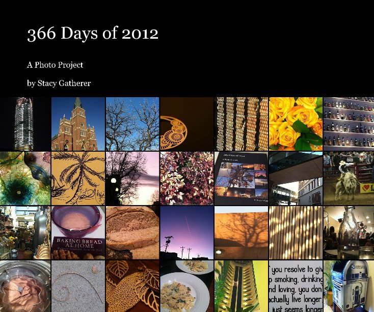 Ver 366 Days of 2012 por Stacy Gatherer
