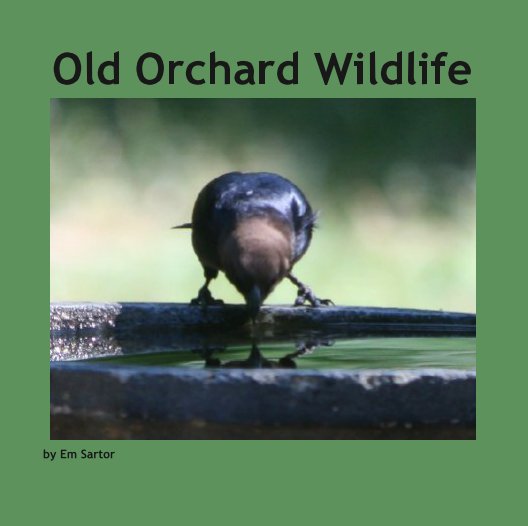 View Old Orchard Wildlife by Em Sartor