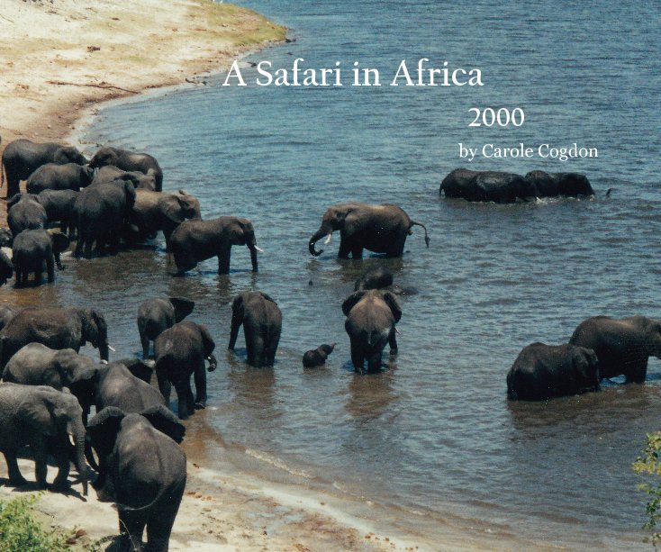 Ver A Safari in Africa por Carole Cogdon