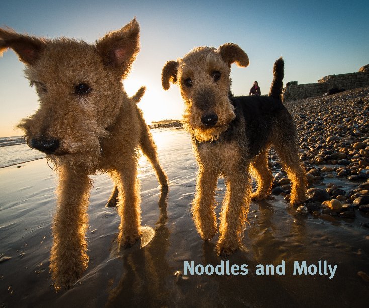 Ver Noodles and Molly por Brighton Dog Photography