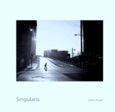 Singularis                                    John Puah book cover
