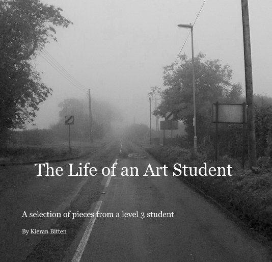 View The Life of an Art Student by Kieran Bitten