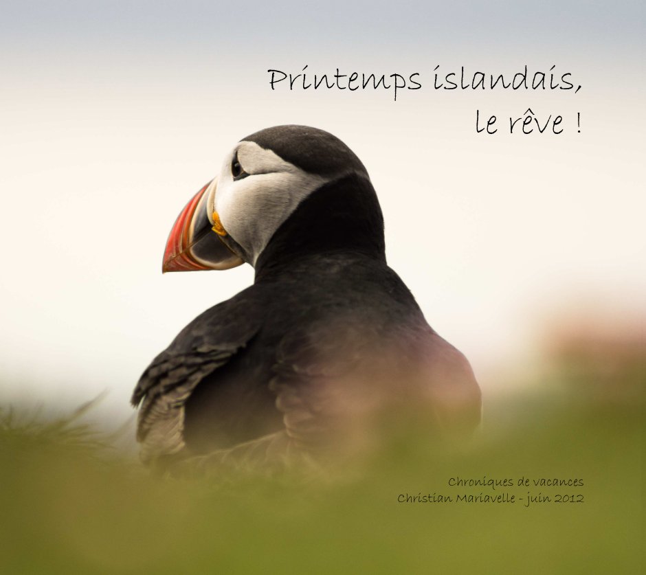 View Printemps islandais, le rêve ! by Christian Mariavelle