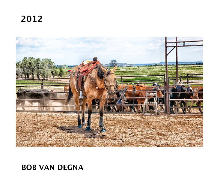 View 2012 by BOB VAN DEGNA