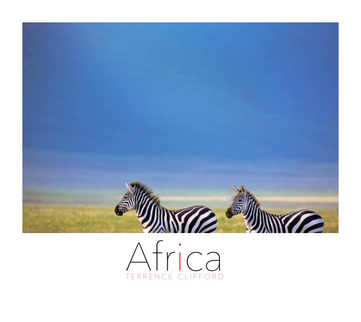 View Africa by Terrence Clifford