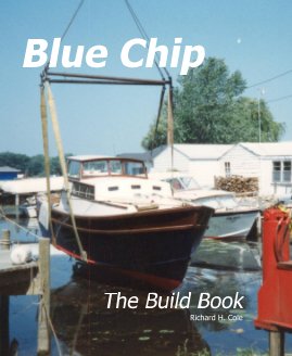 Blue Chip book cover