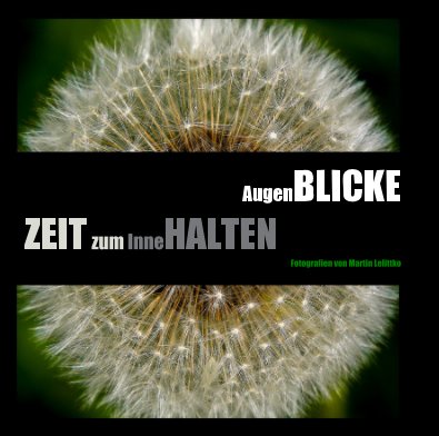 AugenBLICKE (groß) book cover