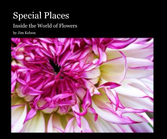 Special Places book cover