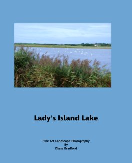 Lady's Island Lake book cover