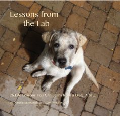 Lessons from the Lab book cover