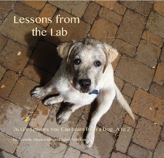 View Lessons from the Lab by Danielle MacKenzie and Adam MacKenzie
