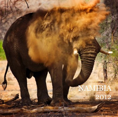 Namibia 2017 book cover