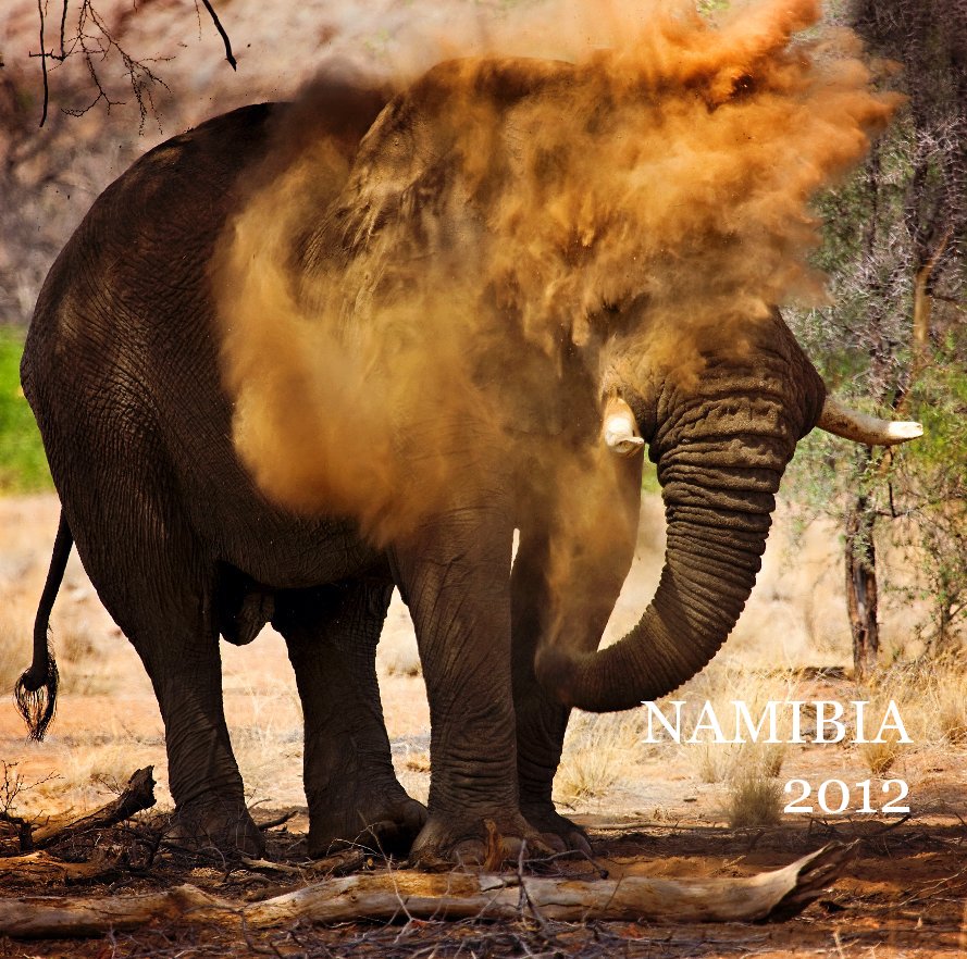Ver Namibia 2017 por Karen Nienaber