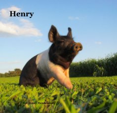 Henry book cover