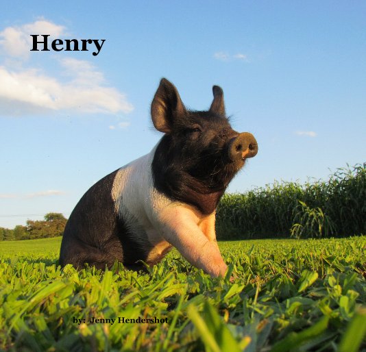 Ver Henry por Jenny Hendershot