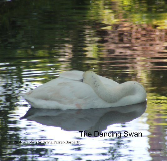 View The Dancing Swan by Photography by Sylvia Farrer-Bornarth