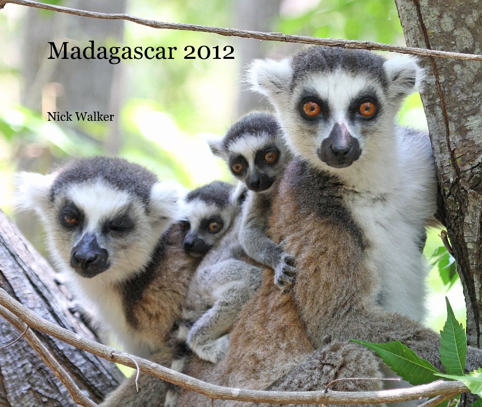 Ver Madagascar 2012 por Nick Walker
