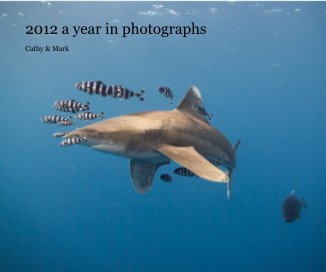2012 a year in photographs book cover