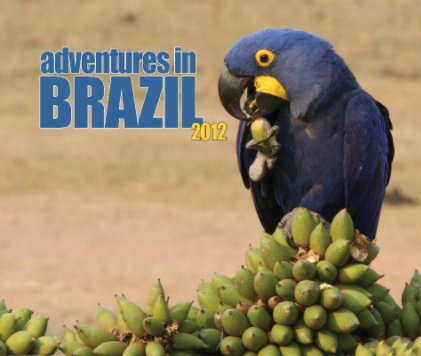 Adventures in Brazil 2012 (Large Format) book cover