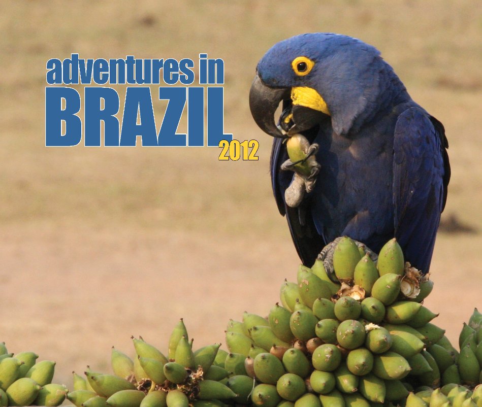 View Adventures in Brazil 2012 (Large Format) by Phoenix Landing