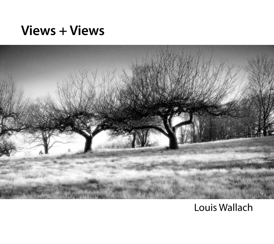 View Views + Views by Louis Wallach