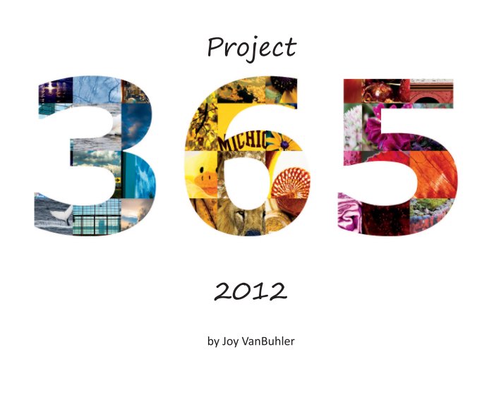Ver Project 365 - 2012 por Joy VanBuhler