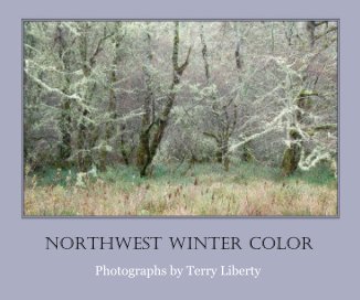 NORTHWEST WINTER COLOR book cover