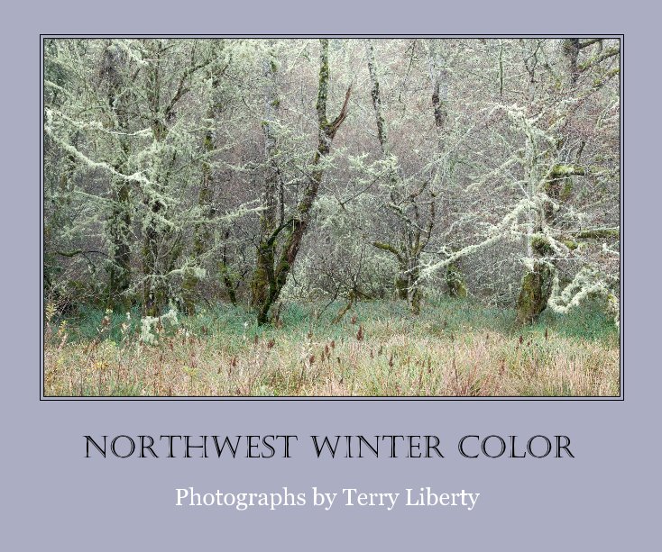 Ver NORTHWEST WINTER COLOR por Terry Liberty