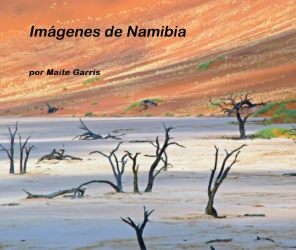 Imágenes de Namibia book cover