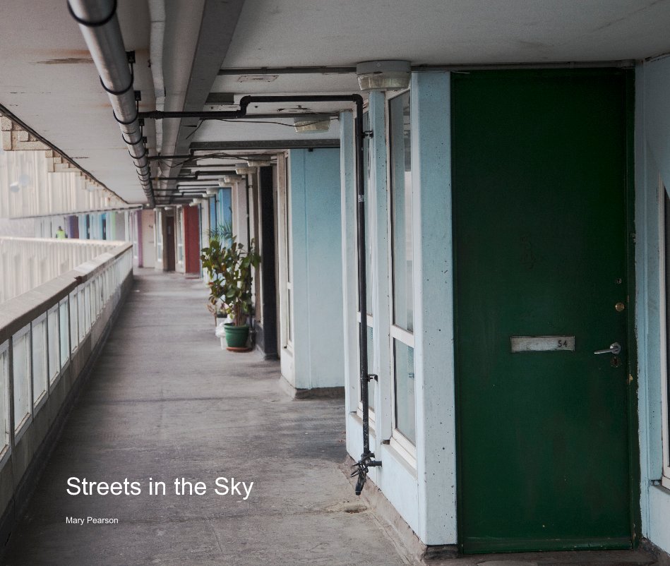 Ver Streets in the Sky por Mary Pearson