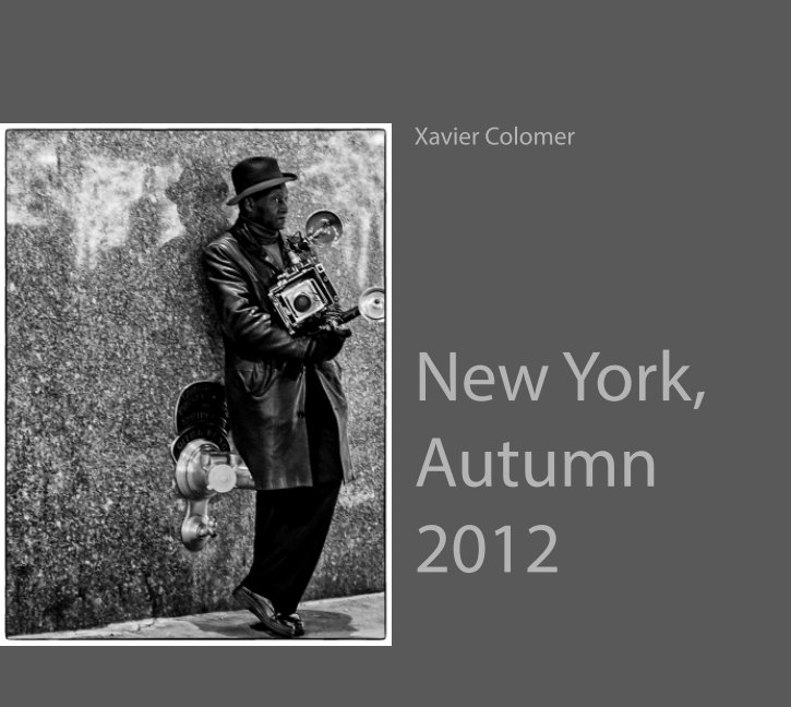 View new york, by xavier colomer