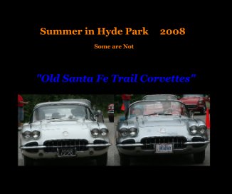 Summer in Hyde Park 2008 book cover
