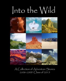 Into the Wild book cover