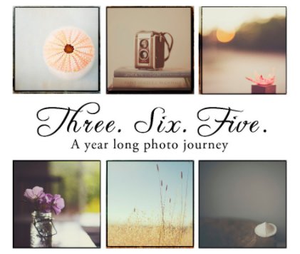 365 A Photo Journey book cover