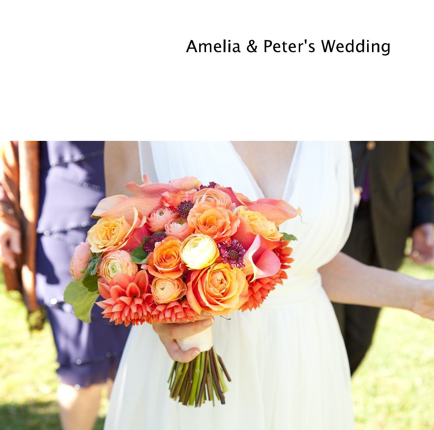 Visualizza Amelia & Peter's Wedding di mollydee