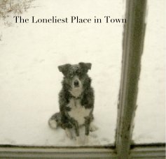 The Loneliest Place in Town book cover